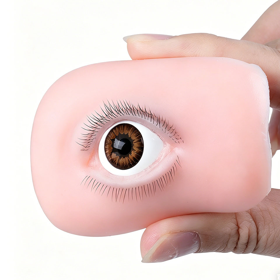 Nuevo maniquí de entrenamiento - Eyelash Extension Open Eye reseña y precio