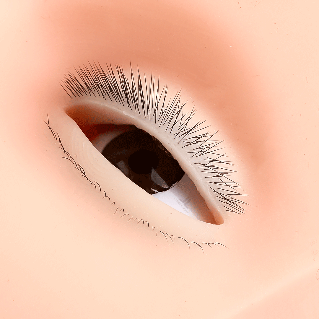 Mini maniquí de 4 capas para e - Eyelash Extension Open Eye reseña y precio