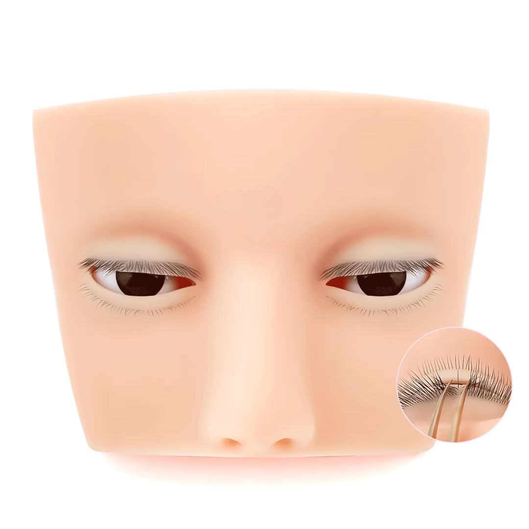Mini maniquí de 4 capas para e - Eyelash Extension Open Eye reseña y precio